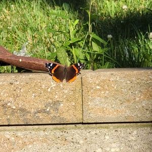 Meet your Posher, April